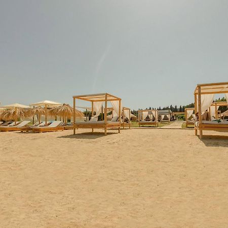 קאבוס Palmyra Studios מראה חיצוני תמונה