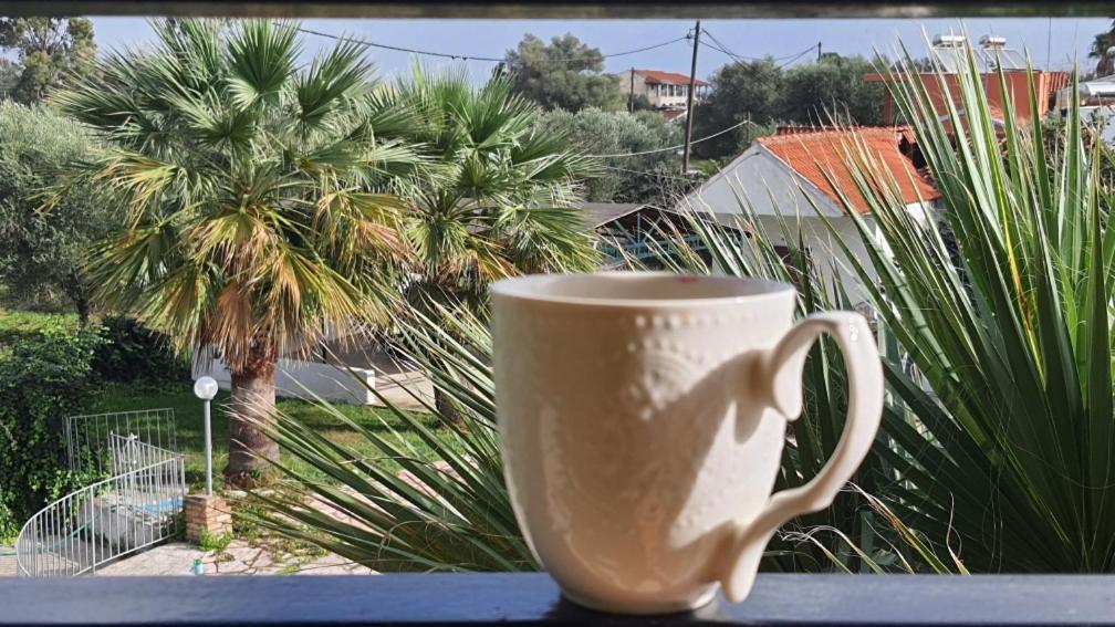 קאבוס Palmyra Studios מראה חיצוני תמונה
